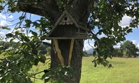 Vogelhäuschen