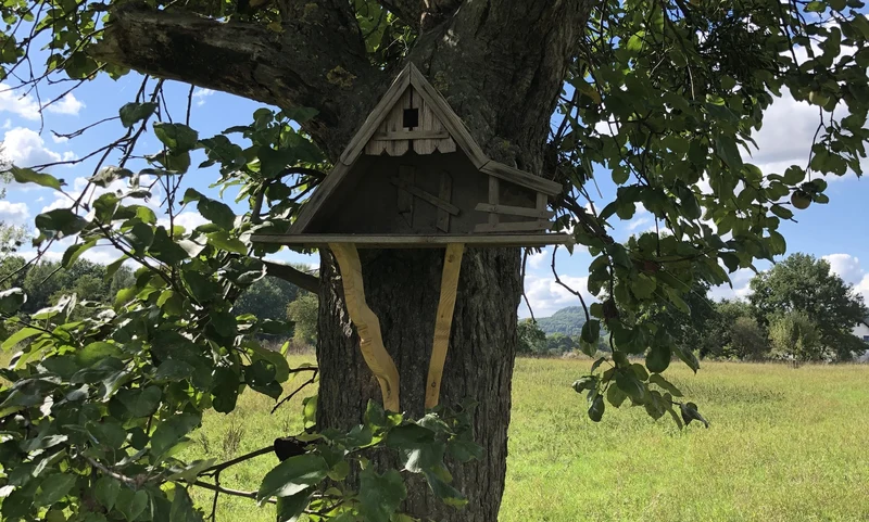 Vogelhäuschen